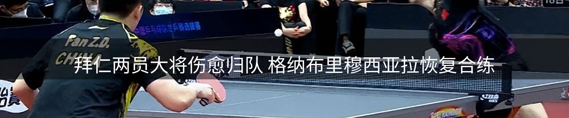 行业简报