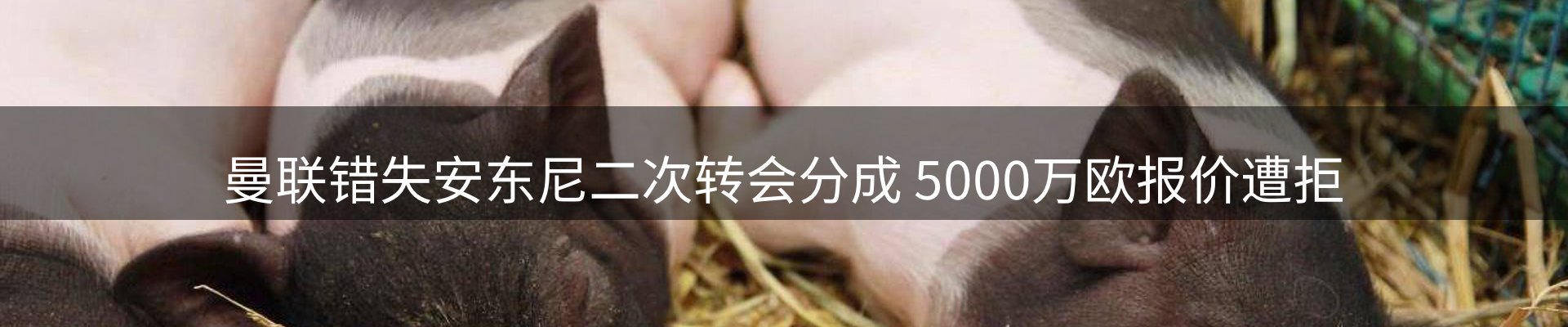 行业简报