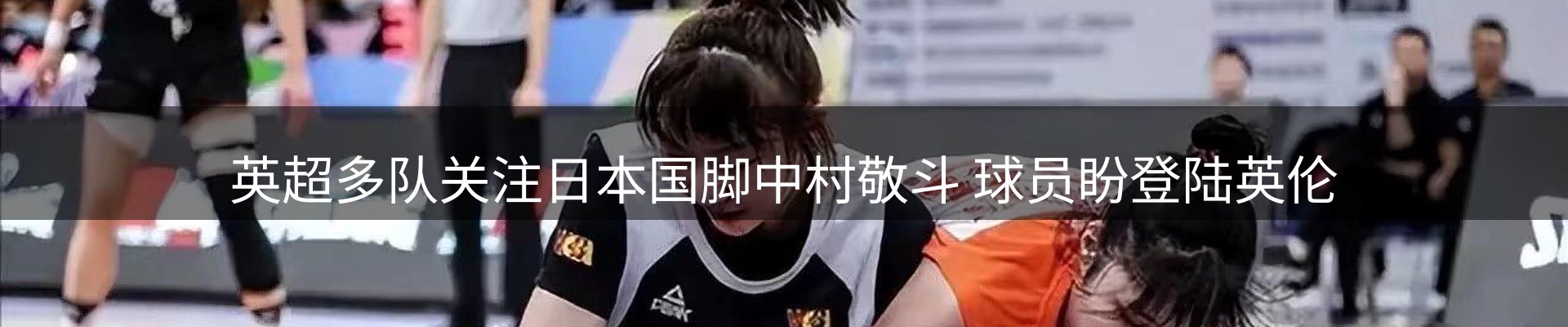 行业简报